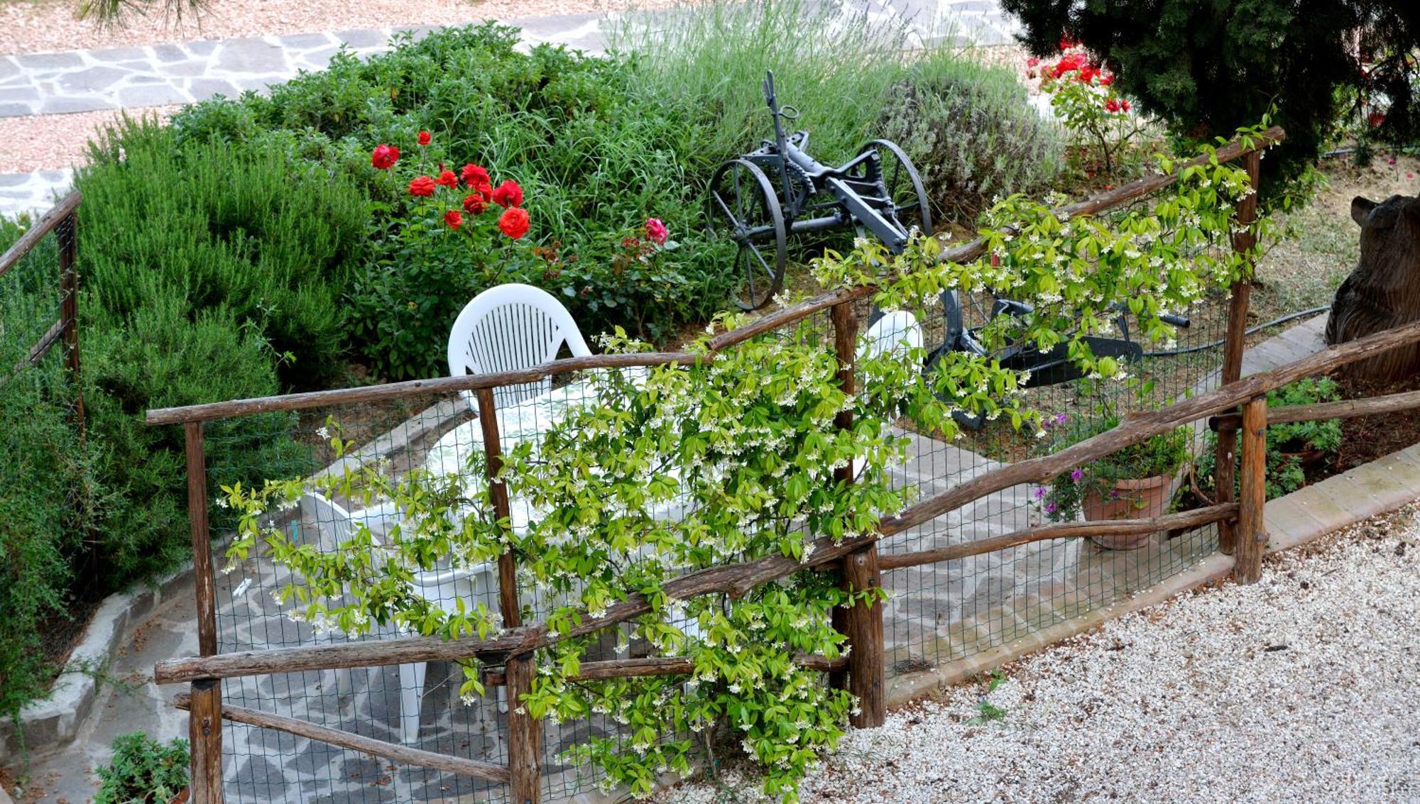 Agriturismo San Severo Passignano sul Trasimeno Ruang foto