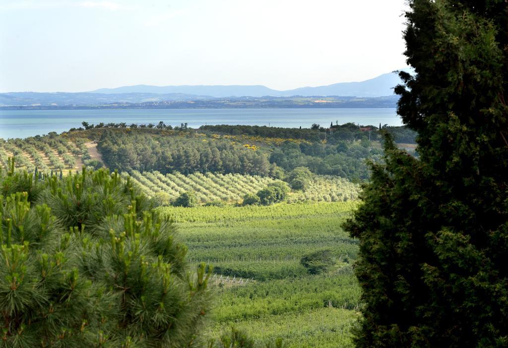 Agriturismo San Severo Passignano sul Trasimeno Bagian luar foto